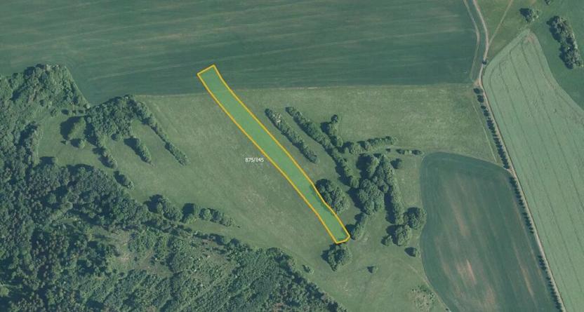 Prodej louky, Blansko, 16492 m2