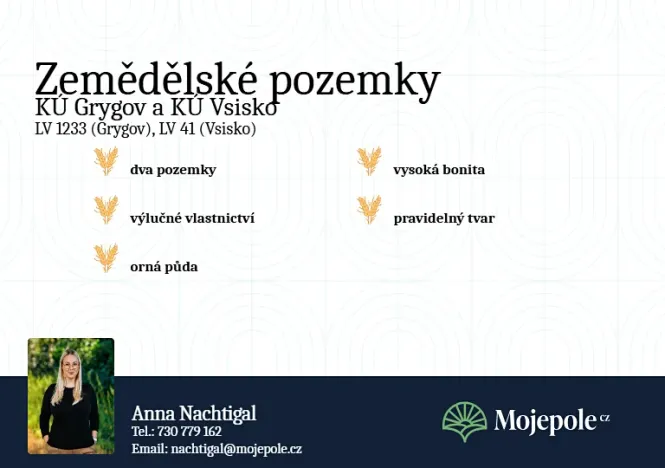 Prodej pole, Velký Týnec, 15521 m2