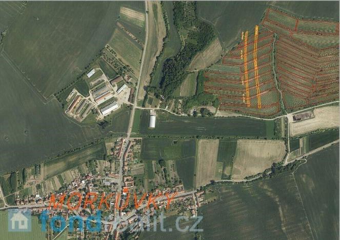 Prodej pozemku, Morkůvky, 4541 m2