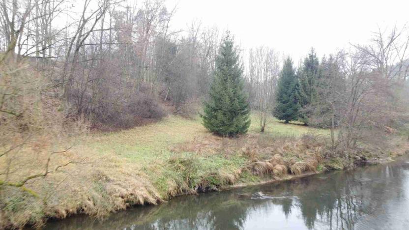 Prodej pozemku, Světlá nad Sázavou, 8621 m2