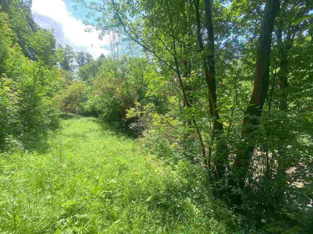 Prodej pozemku, Malá Bystřice, 933 m2