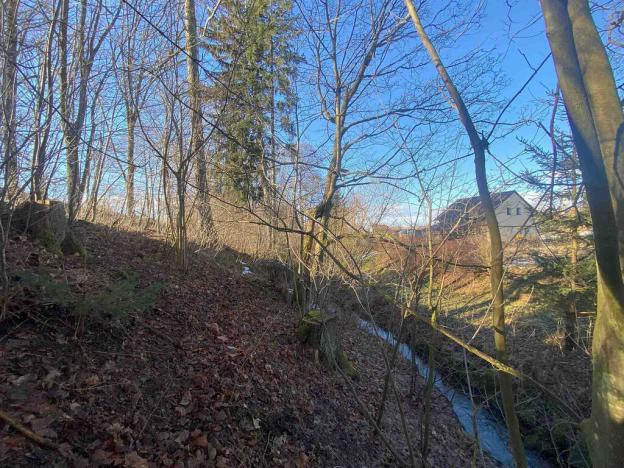 Prodej pozemku, Nová Bystřice, 3407 m2