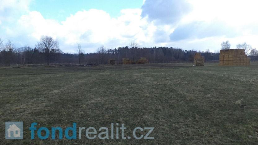 Prodej pozemku, Lužnice, 3184 m2