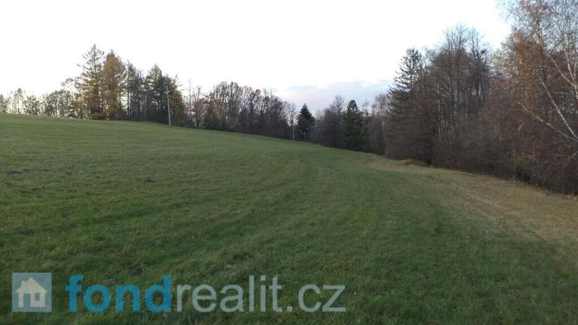 Prodej pozemku, Loučka, 7350 m2