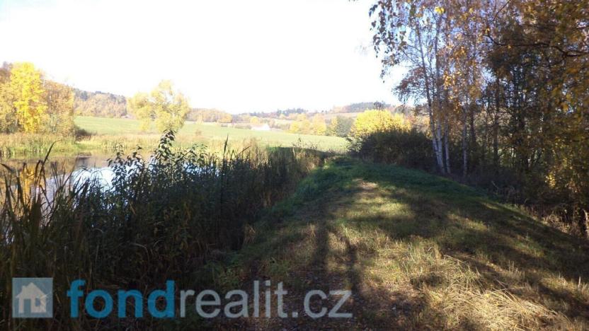 Prodej pozemku, Borovná, 1225 m2