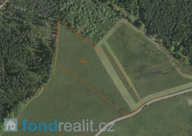 Prodej pole, Nová Ves nad Lužnicí, 30010 m2