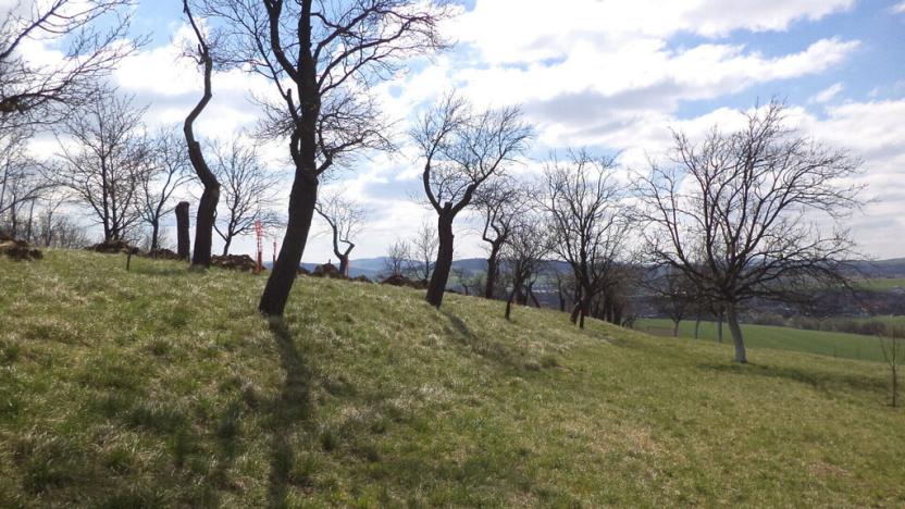 Prodej pozemku, Hluk, 984 m2