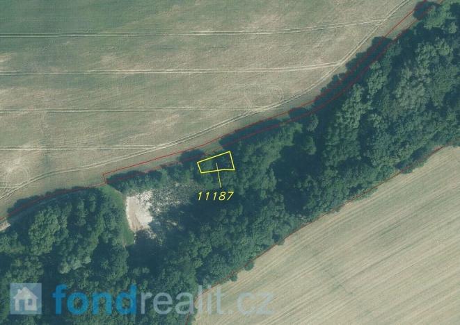 Prodej pozemku, Prusinovice, 3950 m2