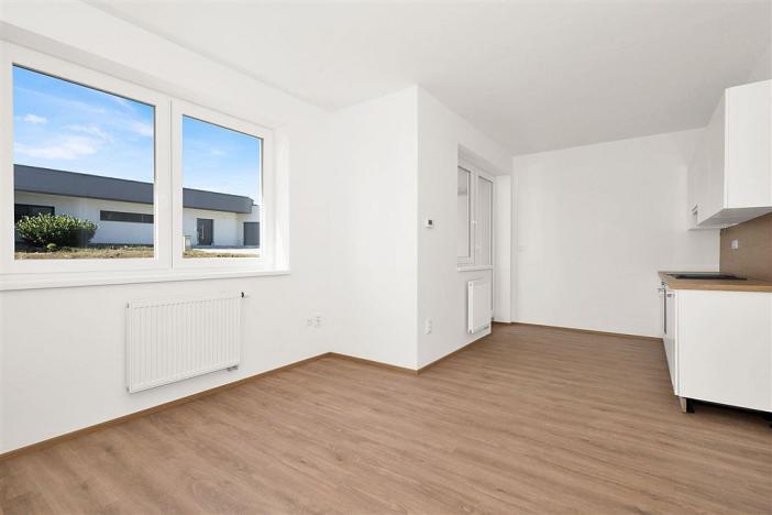 Prodej bytu 2+kk, Hustopeče, Alejní, 56 m2