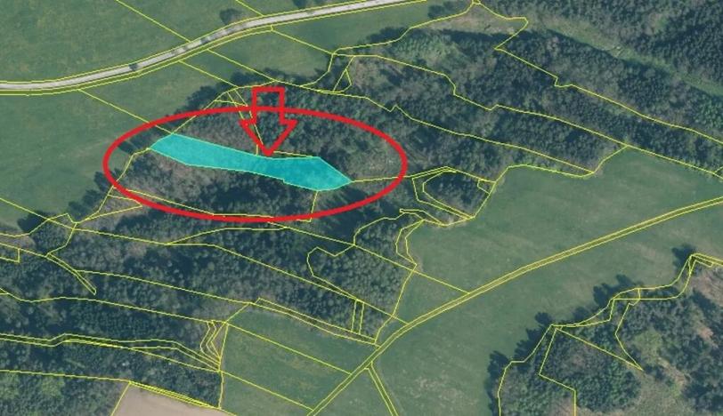 Prodej lesa, Nové Hrady, 5524 m2