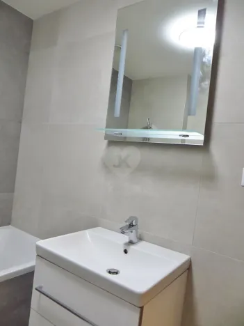 Pronájem bytu 2+kk, Praha - Holešovice, Dělnická, 64 m2