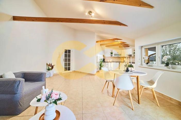 Prodej atypického bytu, Planá nad Lužnicí, Harrachova, 150 m2