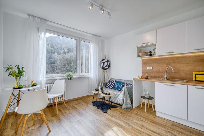 Pronájem bytu 1+1, Děčín - Děčín IX-Bynov, Gagarinova, 34 m2