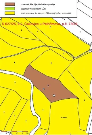 Prodej lesa, Pelhřimov, 11380 m2