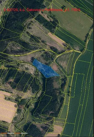 Prodej lesa, Pelhřimov, 11380 m2