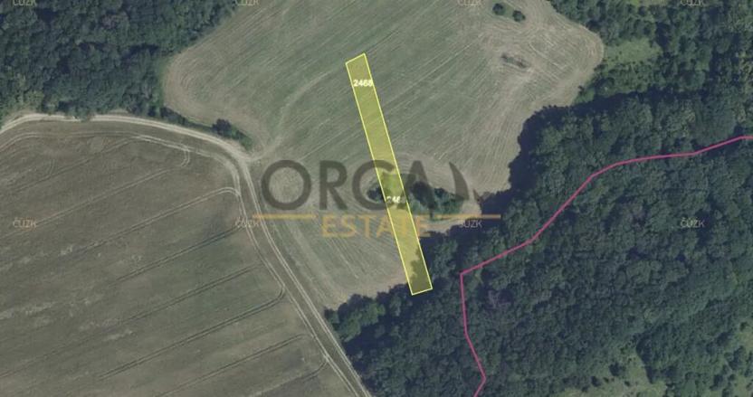 Prodej podílu louky, Žlutava, 1640 m2