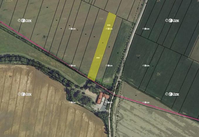 Prodej podílu pole, Přítluky, 5354 m2