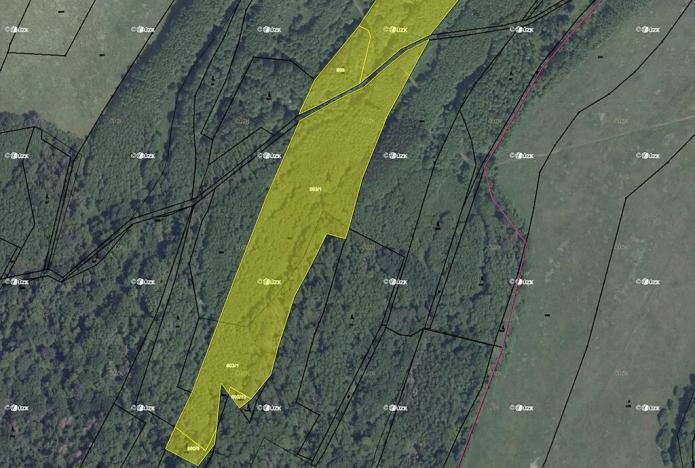 Prodej podílu pole, Stružnice, 12973 m2