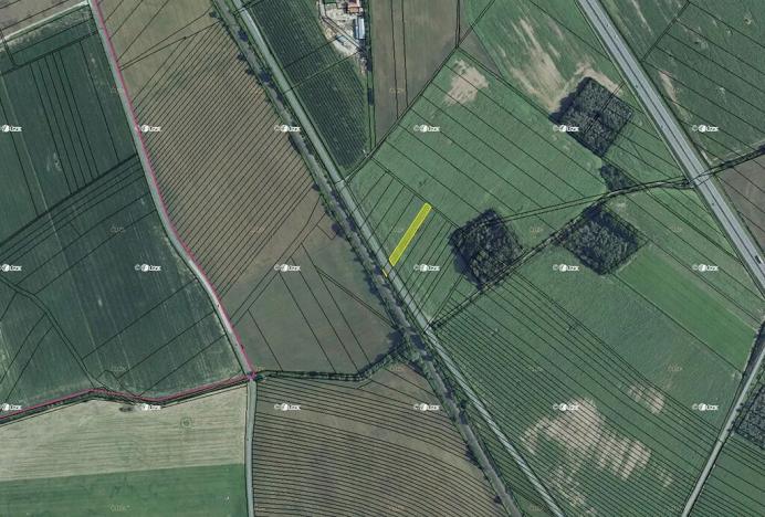 Prodej pole, Břeclav, 1646 m2