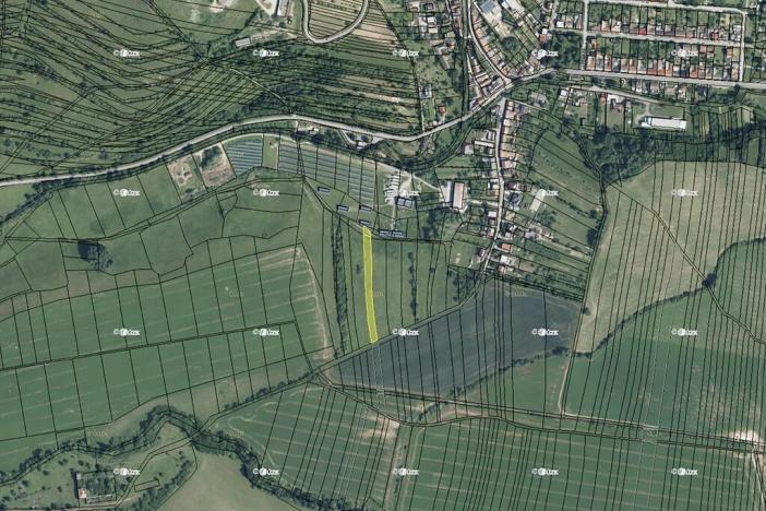 Prodej pole, Osvětimany, 2593 m2