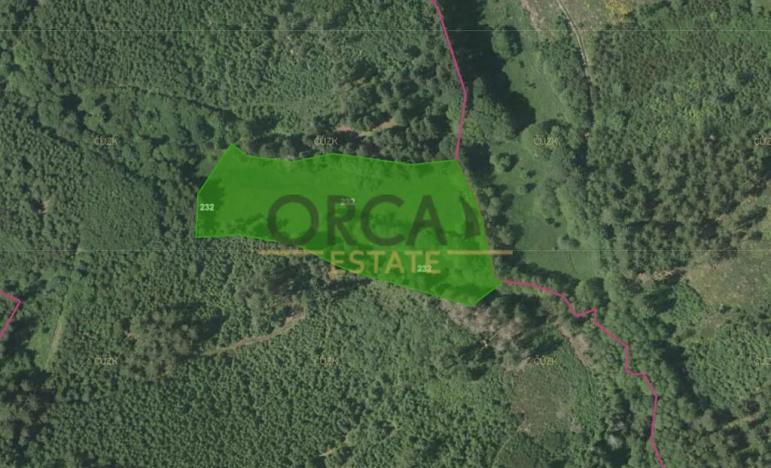 Prodej louky, Kolinec, 9891 m2