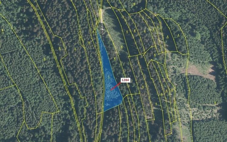 Dražba lesa, Lačnov, 3805 m2