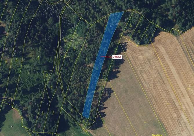 Dražba lesa, Žďárec, 3169 m2