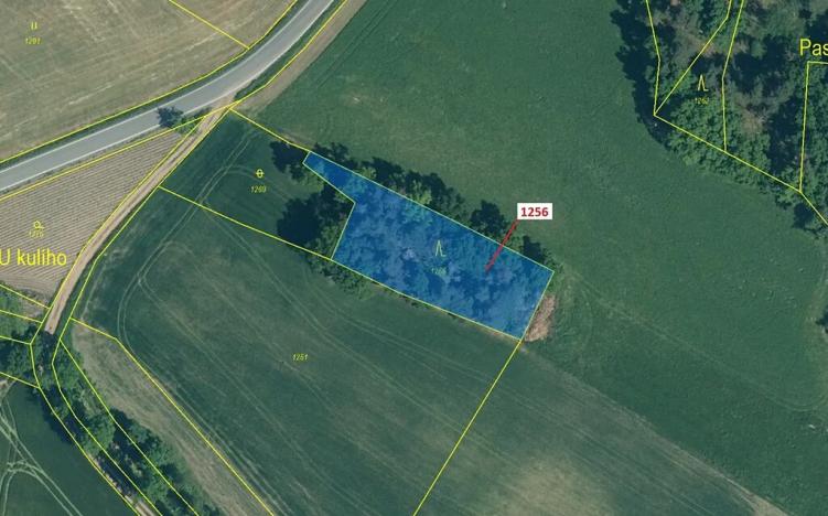 Dražba lesa, Hradiště, 1284 m2