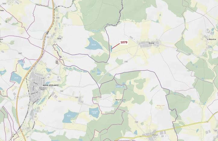 Dražba lesa, Žirovnice, 5041 m2