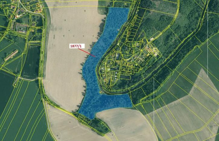 Dražba lesa, Římov, 49760 m2