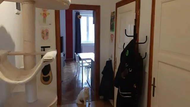 Prodej bytu 3+kk, Břeclav, Žižkova, 72 m2