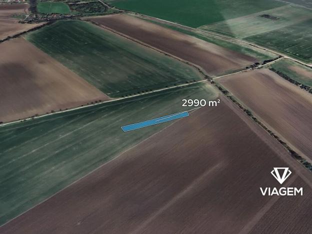 Prodej pole, Třibřichy, 2990 m2