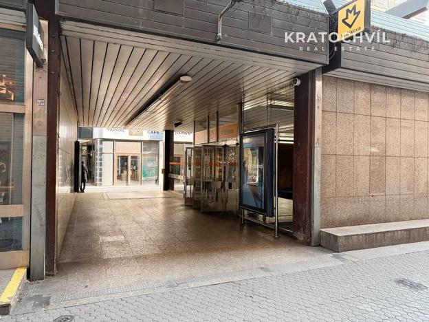 Pronájem bytu 1+kk, Praha - Karlín, Thámova, 24 m2