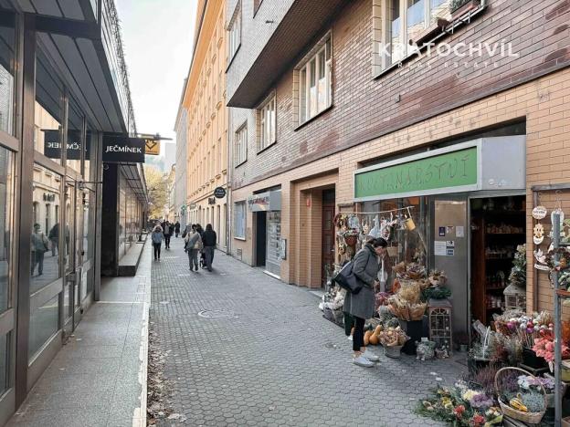 Pronájem bytu 1+kk, Praha - Karlín, Thámova, 24 m2