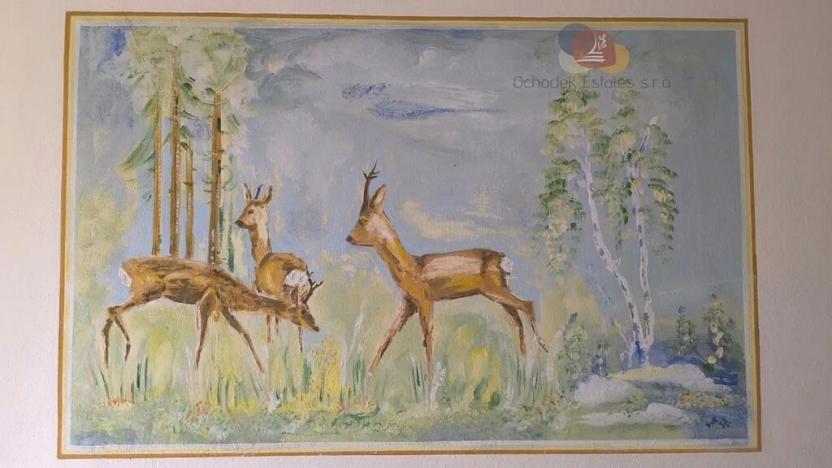 Prodej vícegeneračního domu, Luká, 283 m2