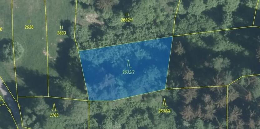 Dražba lesa, Zděchov, 1051 m2