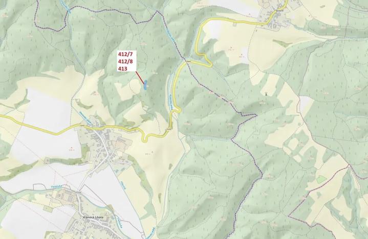 Dražba lesa, Vranová Lhota, 3744 m2