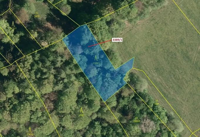 Dražba lesa, Zděchov, 1617 m2