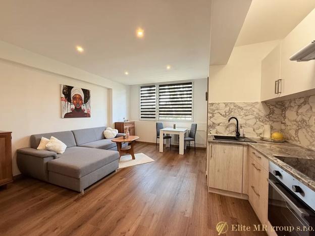 Prodej bytu 2+kk, Mladá Boleslav, Na Radouči, 42 m2