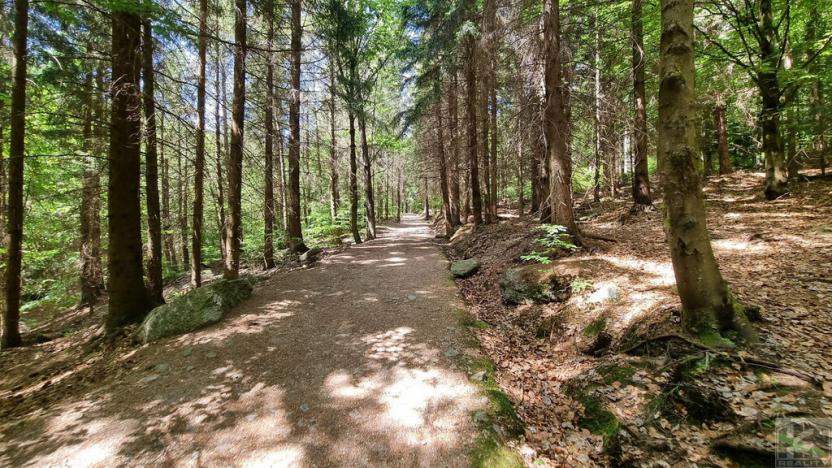 Prodej bytu 3+kk, Bedřichov, 87 m2