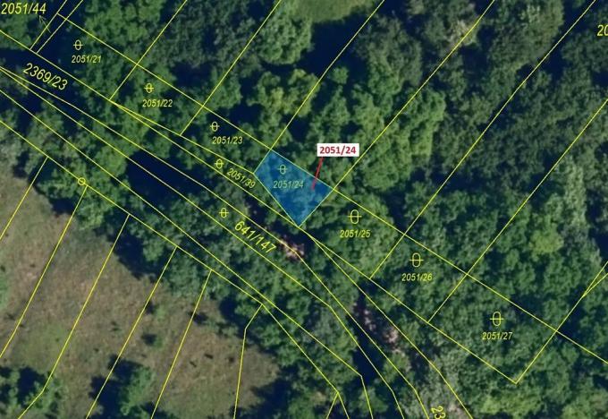 Dražba lesa, Ivančice, 64 m2