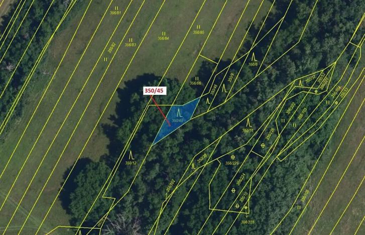 Dražba lesa, Ivančice, 183 m2