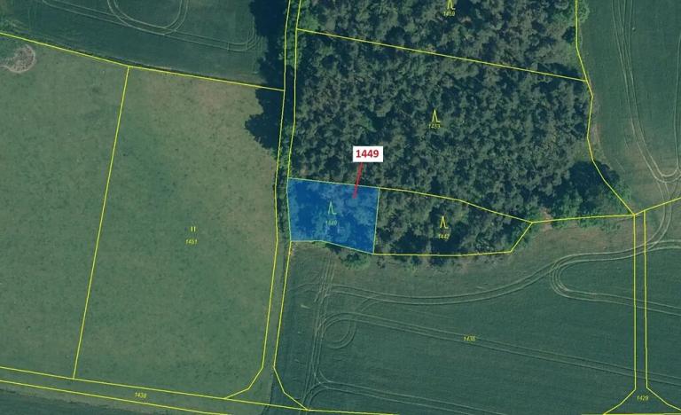 Dražba lesa, Hradiště, 638 m2