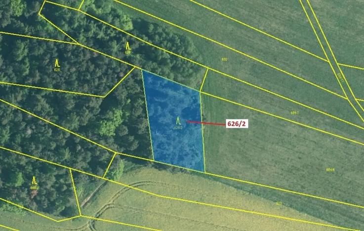 Dražba lesa, Bílsko, 1522 m2