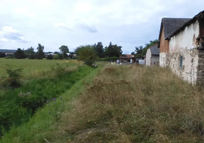 Dražba louky, Krouna, 6211 m2