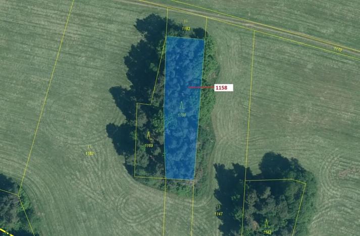 Dražba lesa, Hradiště, 1323 m2