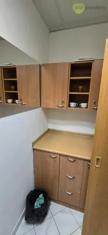 Pronájem obchodního prostoru, Vyškov, Palánek, 43 m2