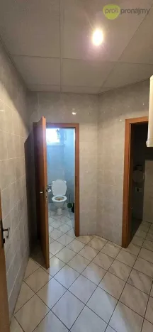 Pronájem obchodního prostoru, Vyškov, Palánek, 43 m2