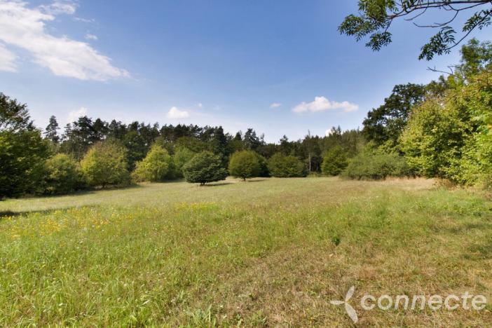 Prodej louky, Samopše, 14836 m2