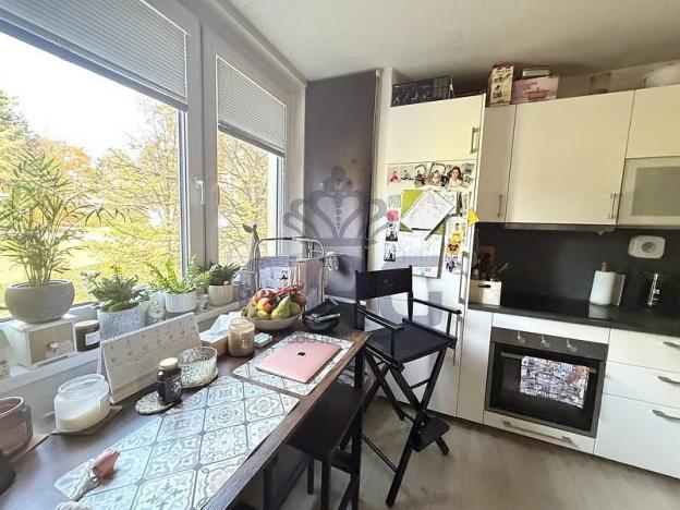 Prodej bytu 1+1, Brno - Kohoutovice, Prokofjevova, 36 m2